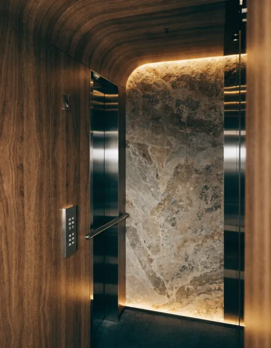 Passenger elevator cabin with wood veneer and stone finish